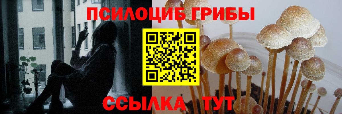 Галлюциногенные грибы мицелий  Вход с VPN  что такое наркотик  Борзя 
